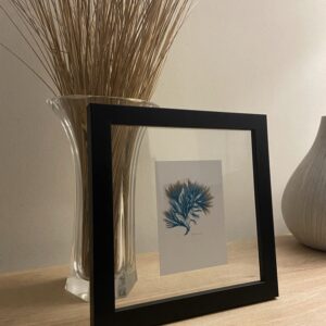 ENTRE DEUX VERRES